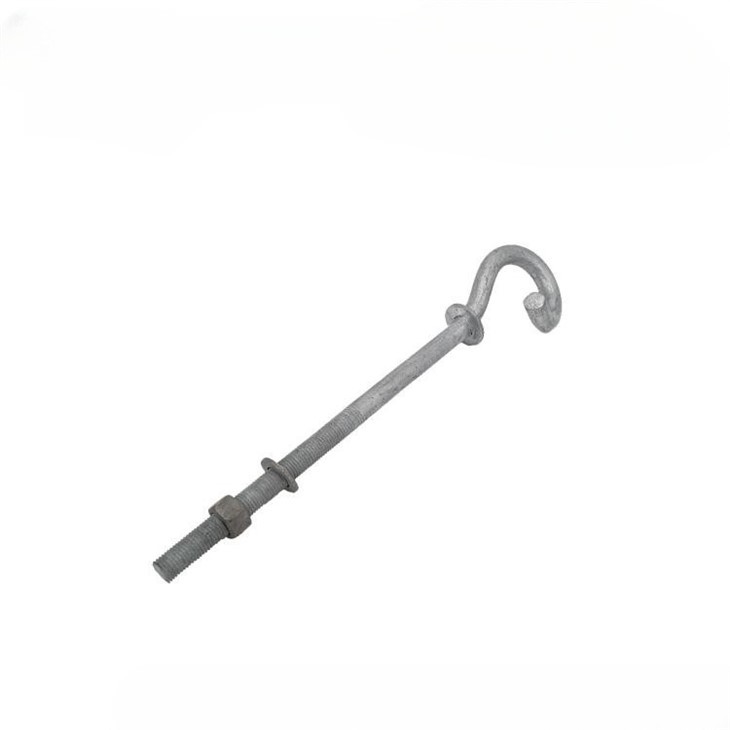 Pig tail hook 1